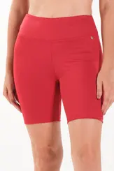 Bermuda Tecnológica